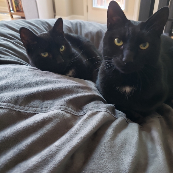 Come visit my closet! ❤️ Krista - Picture 2 of 7